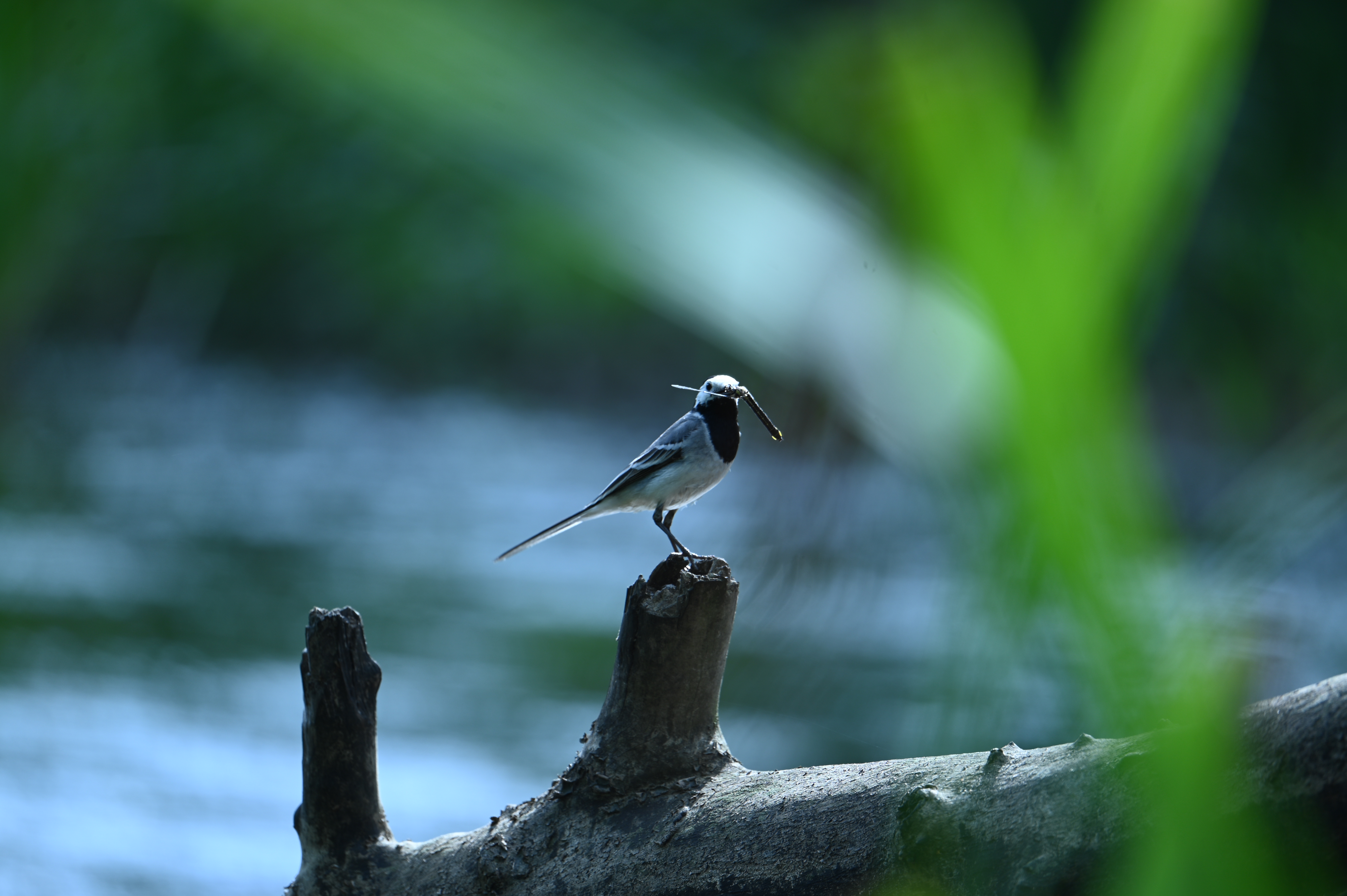 2025/07/09-14 - trip/DSC_0469.JPG